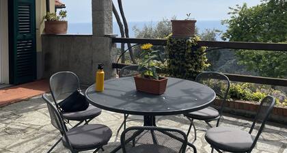 TINA HOUSE "The Oleander"