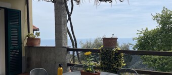 TINA HOUSE "The Oleander"