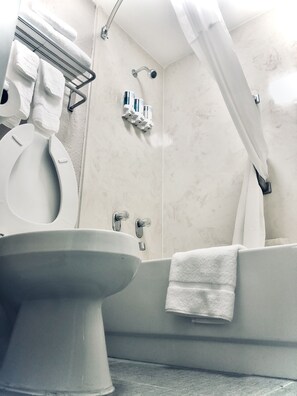 Hair dryer, towels, soap, shampoo