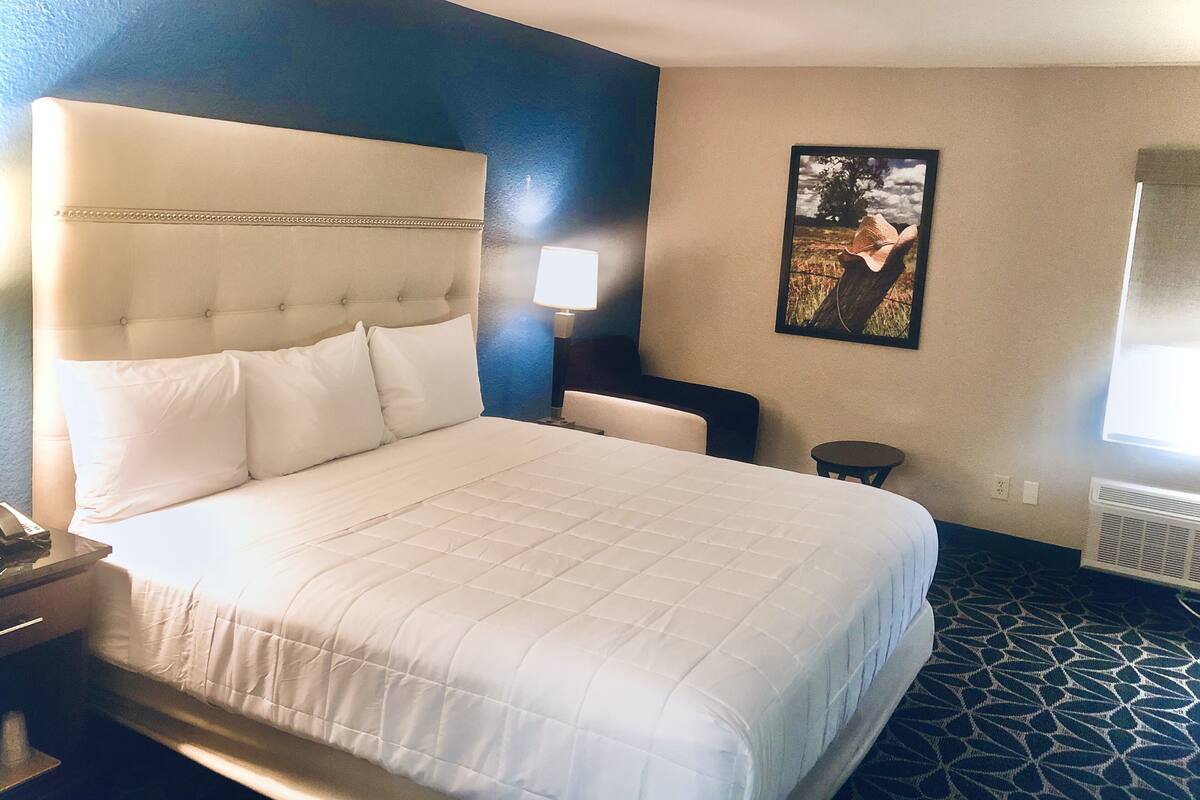 A hotel room with a large bed, a bedside table, a lamp, a chair, and a picture on the wall.