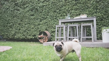 Enceinte de l’hébergement