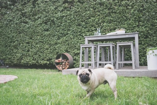 Shoreline Hideaway - Hidden Hideaway close to the beach