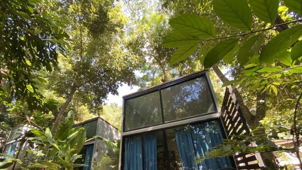 Un área de estar moderna al aire libre con una mesa y sillas, rodeada de abundante vegetación y una estructura de vidrio.