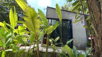 Signature Single Room (B6) | Premium bedding, individually decorated, individually furnished, desk