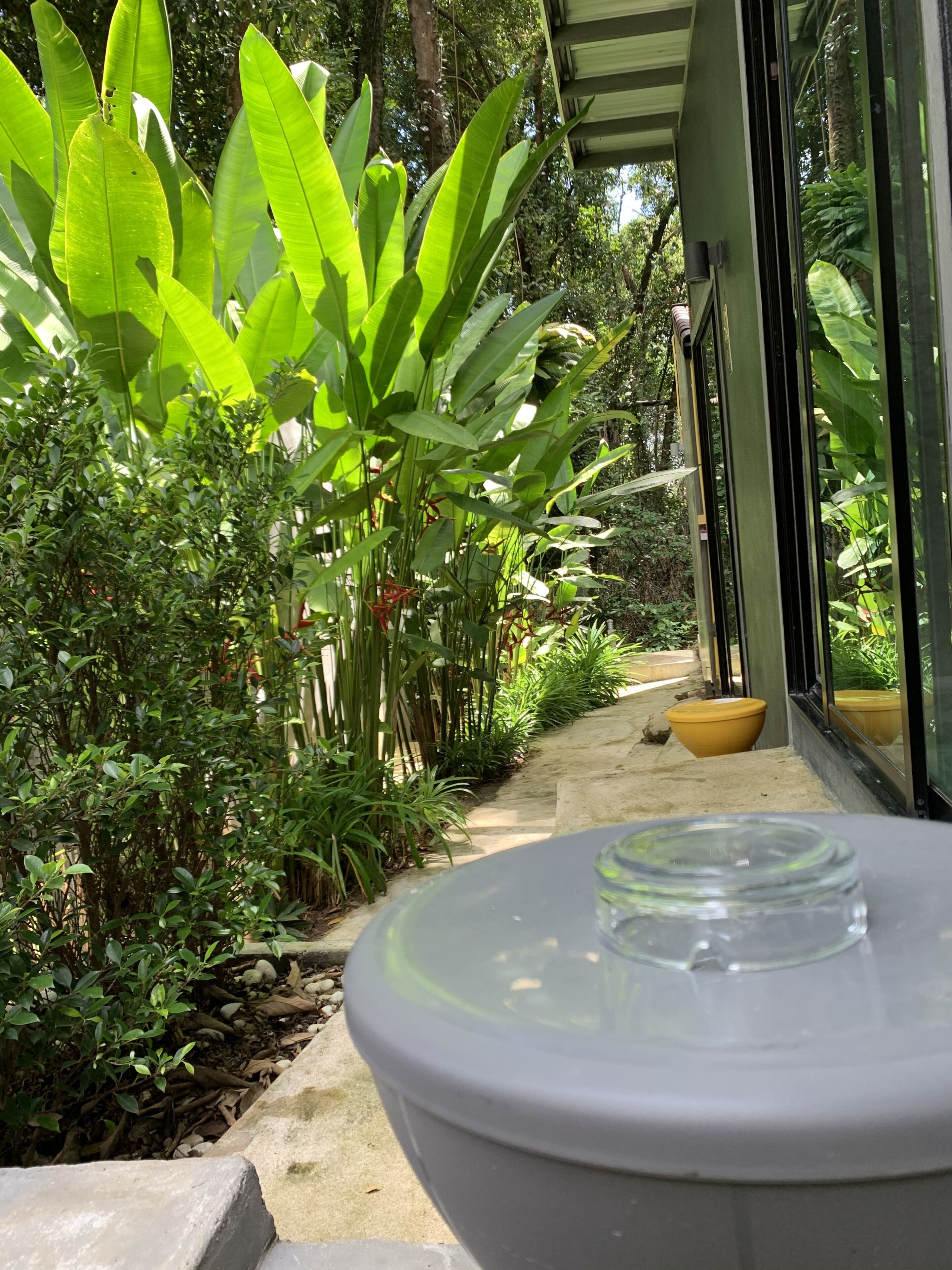 Chambre Double Économique (Fan Room - B9) | Balcon