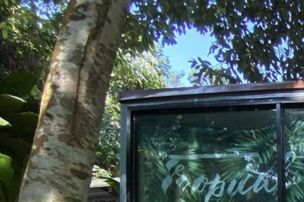 أغطية فراش متميزة ومكتب ومساحة عمل للكمبيوتر المحمول وستائر تعتيم