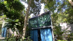 Una estructura pequeña y moderna con fachada de vidrio y cortinas azules, rodeada de abundante vegetación.