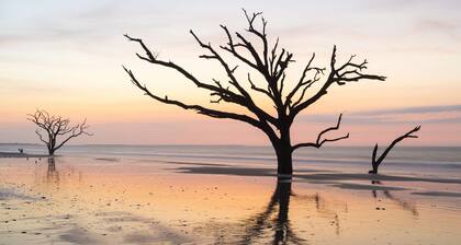 10 Min Walk To Beach Dog Friendly Renovated Villa With Custom, High End Finishes & Lagoon Views