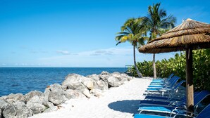 A beach with a row of blue lounge chairs, a thatched umbrella, and palm trees.