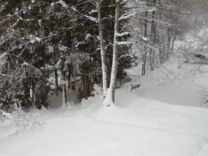 Wintersport/Ski