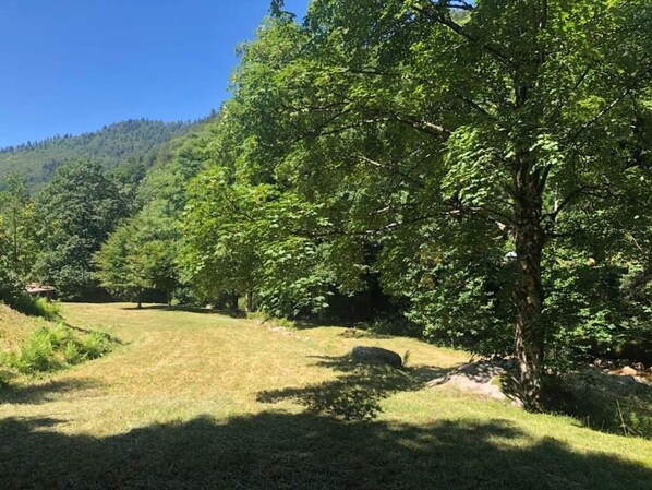 Un paysage naturel avec des arbres, de l’herbe et une colline en arrière-plan.