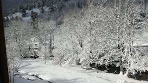 A snowy landscape with trees and a stream.