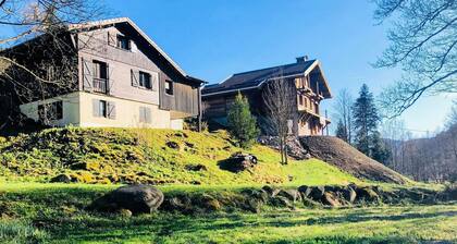 Cozy Mountain Chalet Near La Bresse Ski, WiFi, Private Access, 2 Terraces, Pet-Friendly