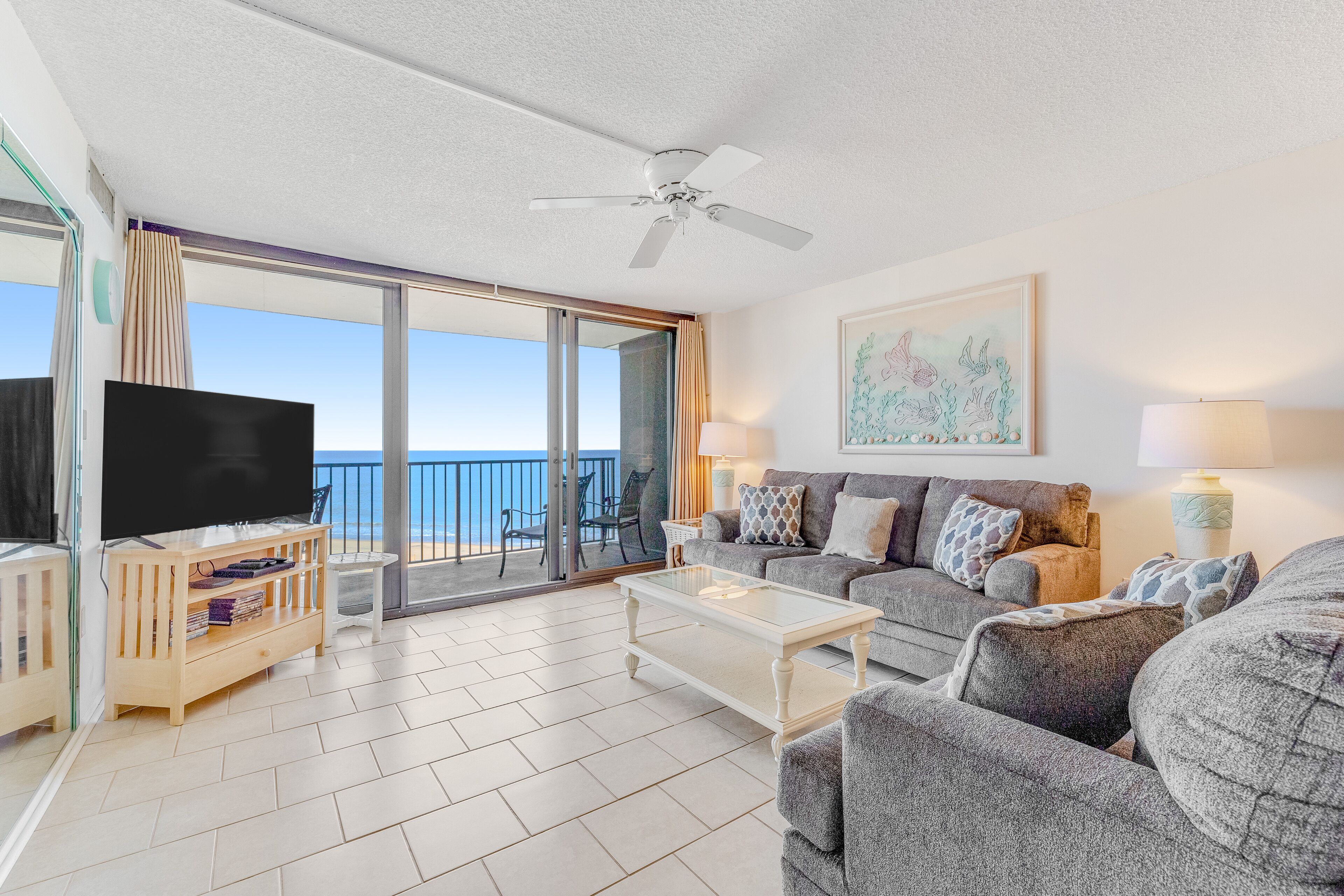 電視、DVD 播放機、書籍、影像庫