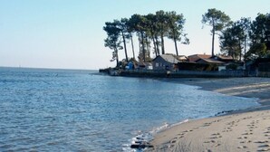A beach with a row of houses and trees along the shoreline.