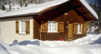 Chalet Confortable à La Bresse, Proche Ski, Wifi, Animaux Acceptés
