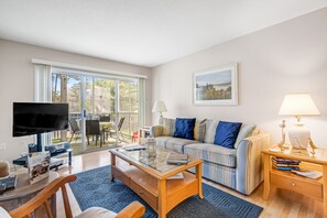 TV, DVD player, books, video library