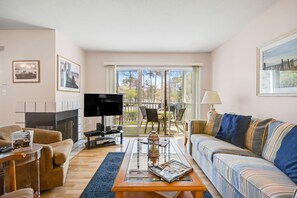 TV, DVD player, books, video library