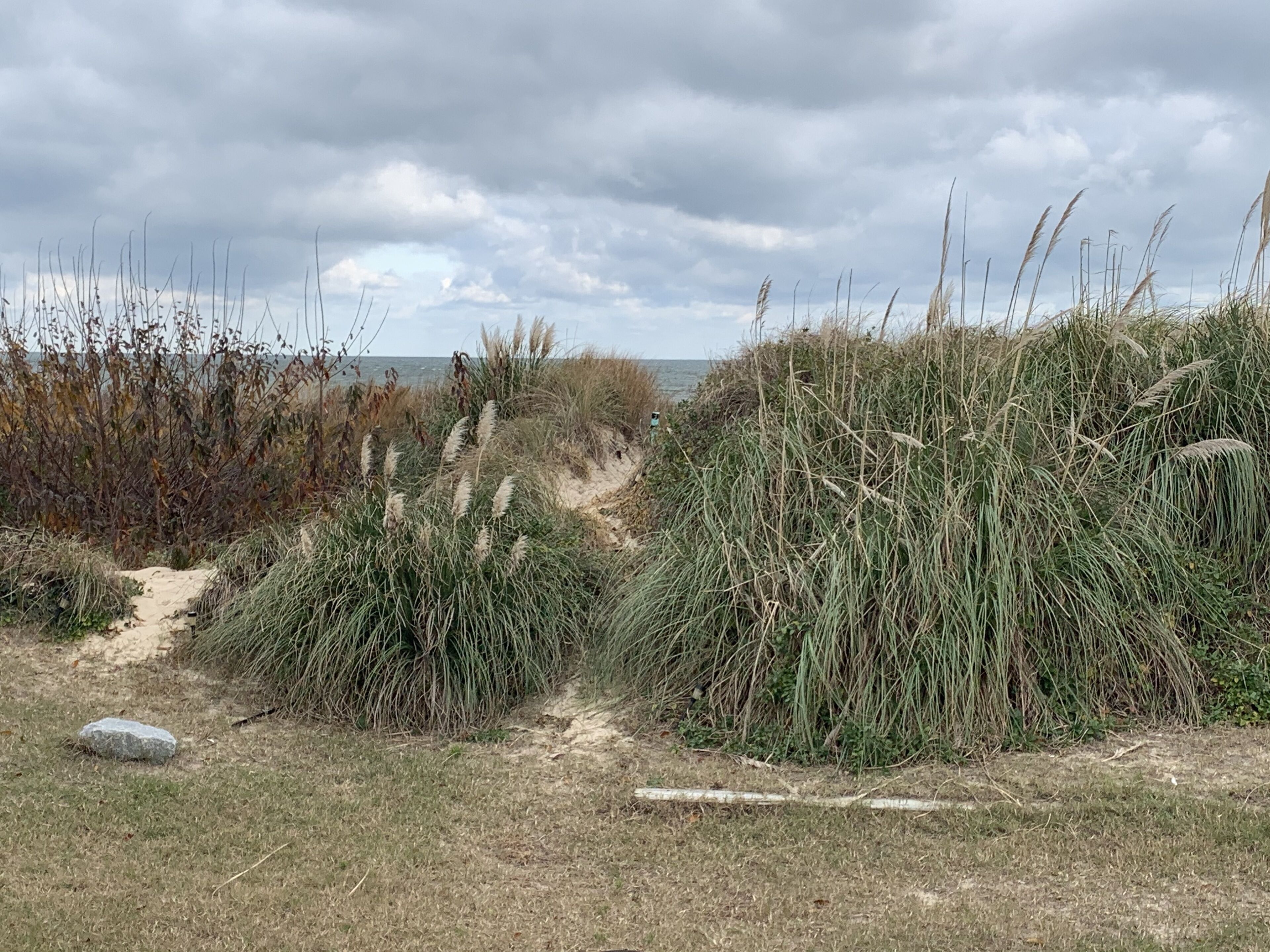 Sandy Dunes BeachFront Cottage - Beach Front
