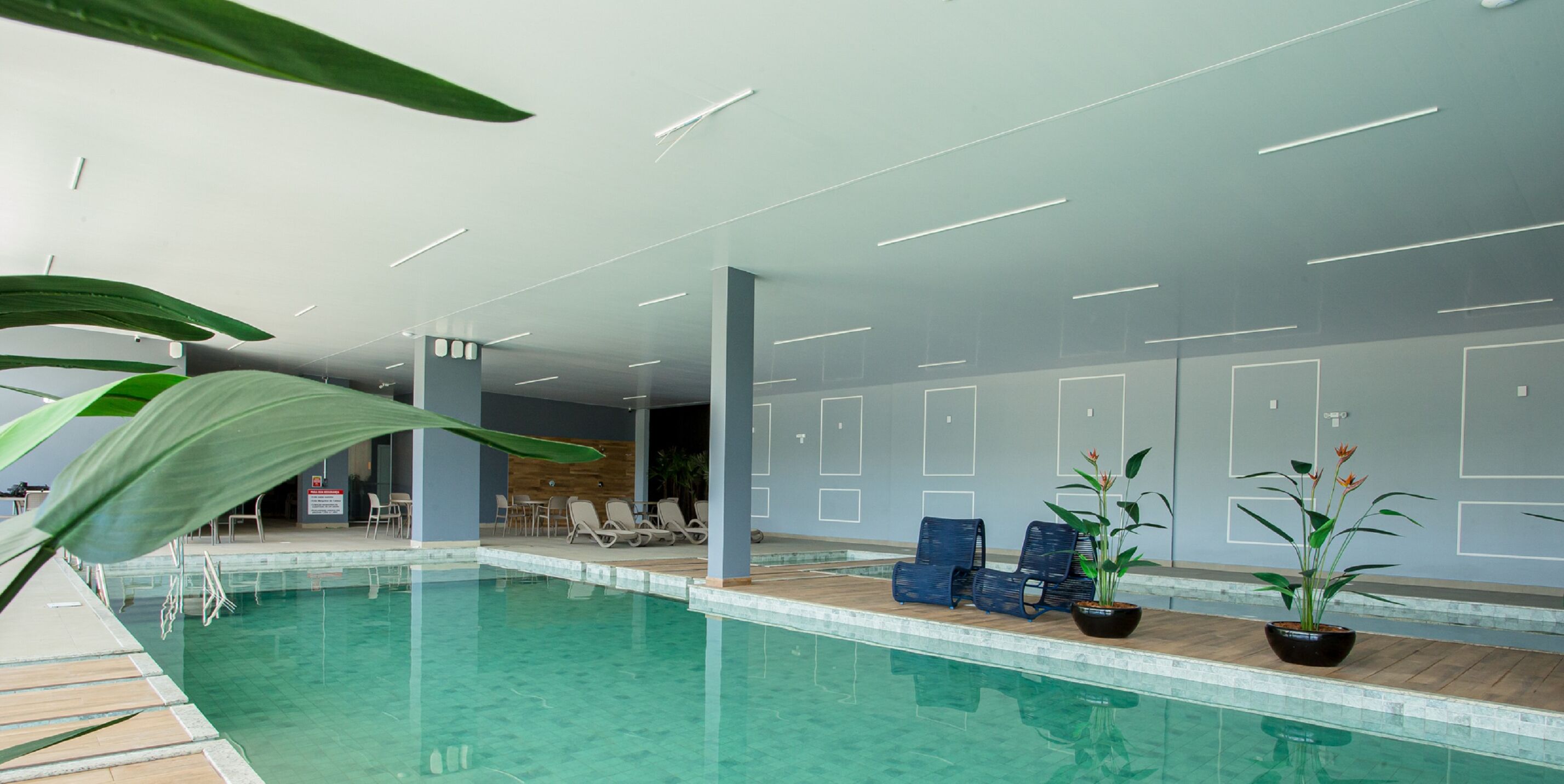Una piscina interior con agua cristalina, sillas de descanso y plantas en macetas.