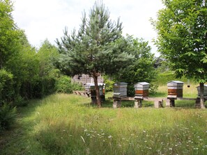 Property grounds - Peaceful cottage in forest with terrace, 4 people (La Bourgonce)