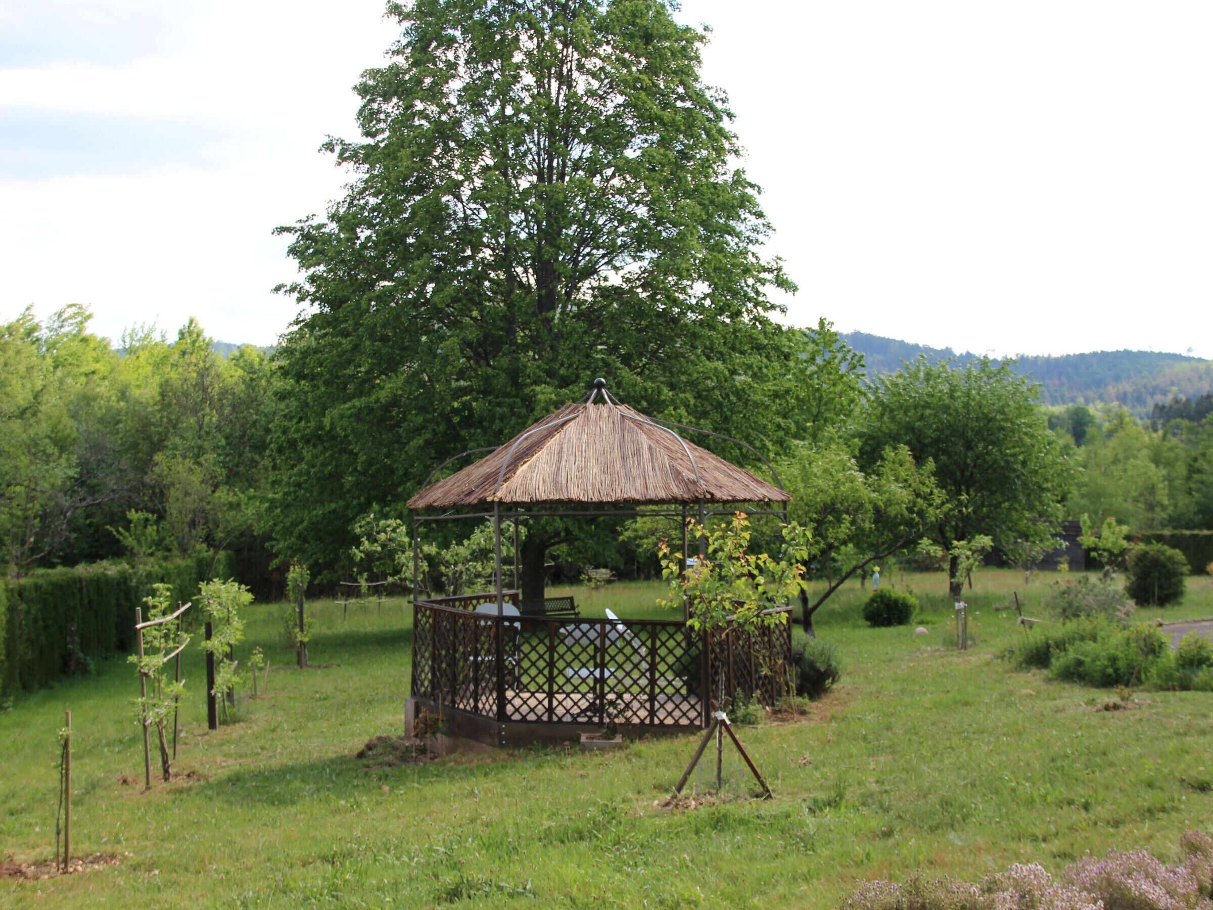 En rustik pergola med ett halmtak, omgiven av frodig grönska och träd i en lugn utomhusmiljö.