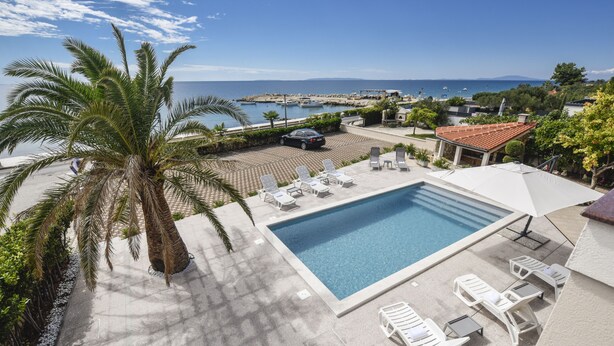 Ein Poolbereich mit freiem Blick auf das Meer, einer Palme und einer gefliesten Terrasse.