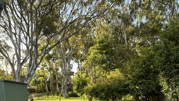 A wooden table set outdoors with a plate of food, two glasses of white wine, and a bench in the background. - ☘️"KILMEEDY" Take time to smell the roses🌹 in Bowral-Walk to town-Pet friendly. (Bowral)