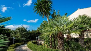 A pathway surrounded by lush greenery and palm trees, leading to a building with a white facade.