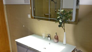 A bathroom with a white sink, a mirror above it, and a plant on the sink.