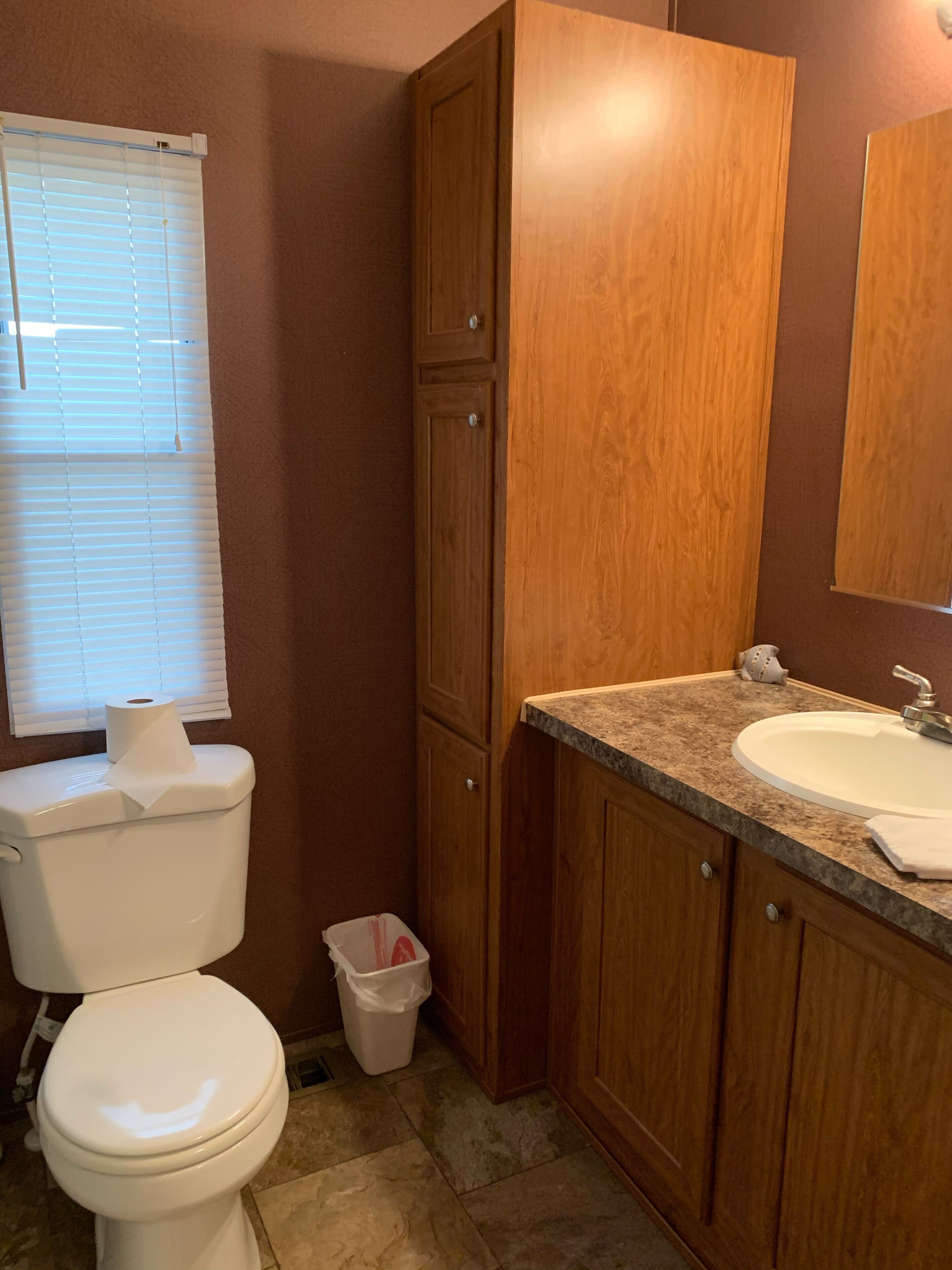 A bathroom with a toilet, wooden cabinets, a granite countertop, and a sink.