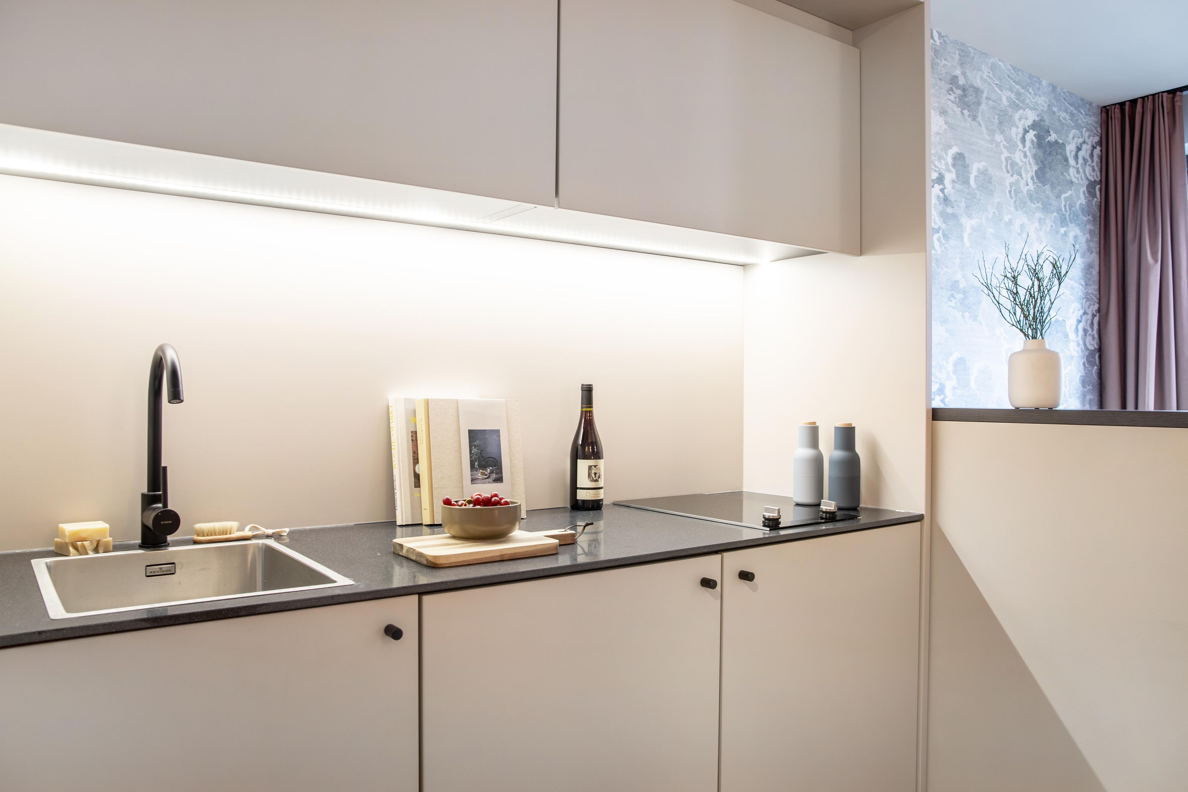 Standard Apartment, 1 Queen Bed, Kitchen (Full Kitchen) | Private kitchenette | Espresso maker, coffee/tea maker, dishwasher, electric kettle