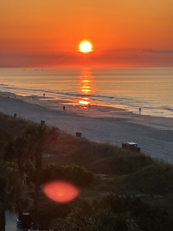 Plage, chaises longues