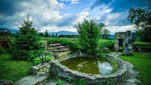 Taman