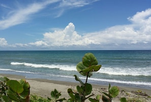 A beach with clear skies and ocean waves.