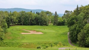 Ein Golfplatz mit Sandbunkern, einem Putting-Green und bewaldetem Hintergrund.