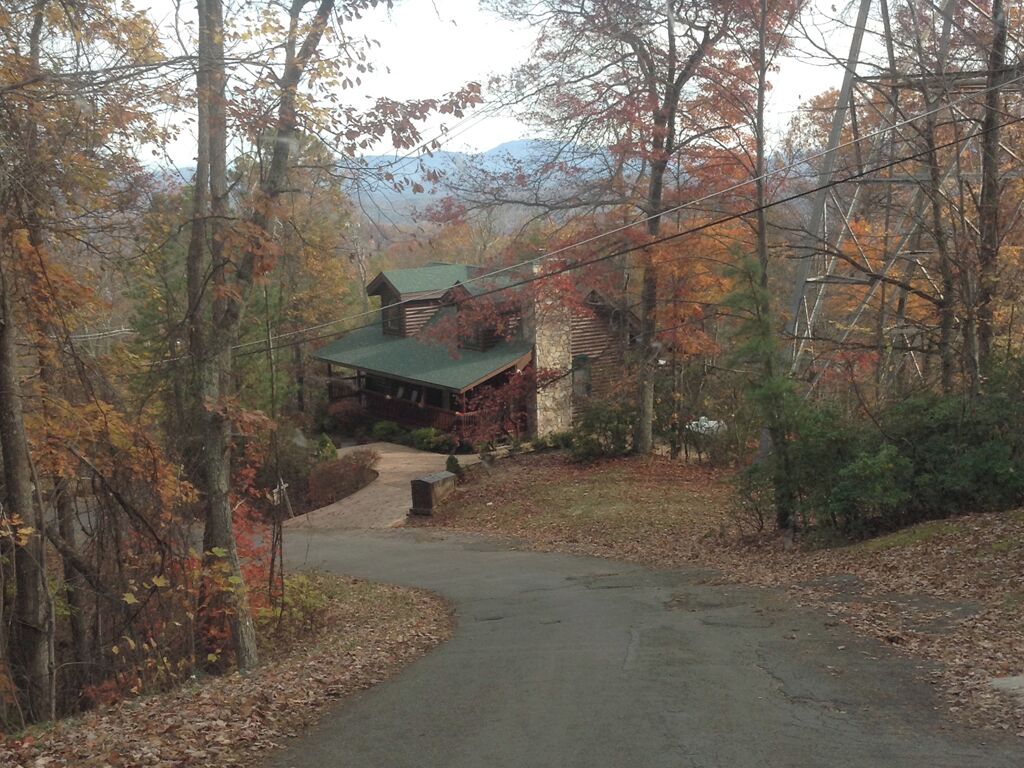 A cabin with a green roof, surrounded by autumn foliage and trees.
