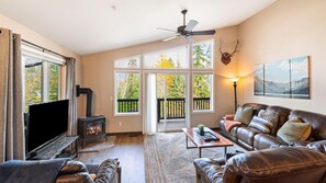 Smart TV, fireplace, video library