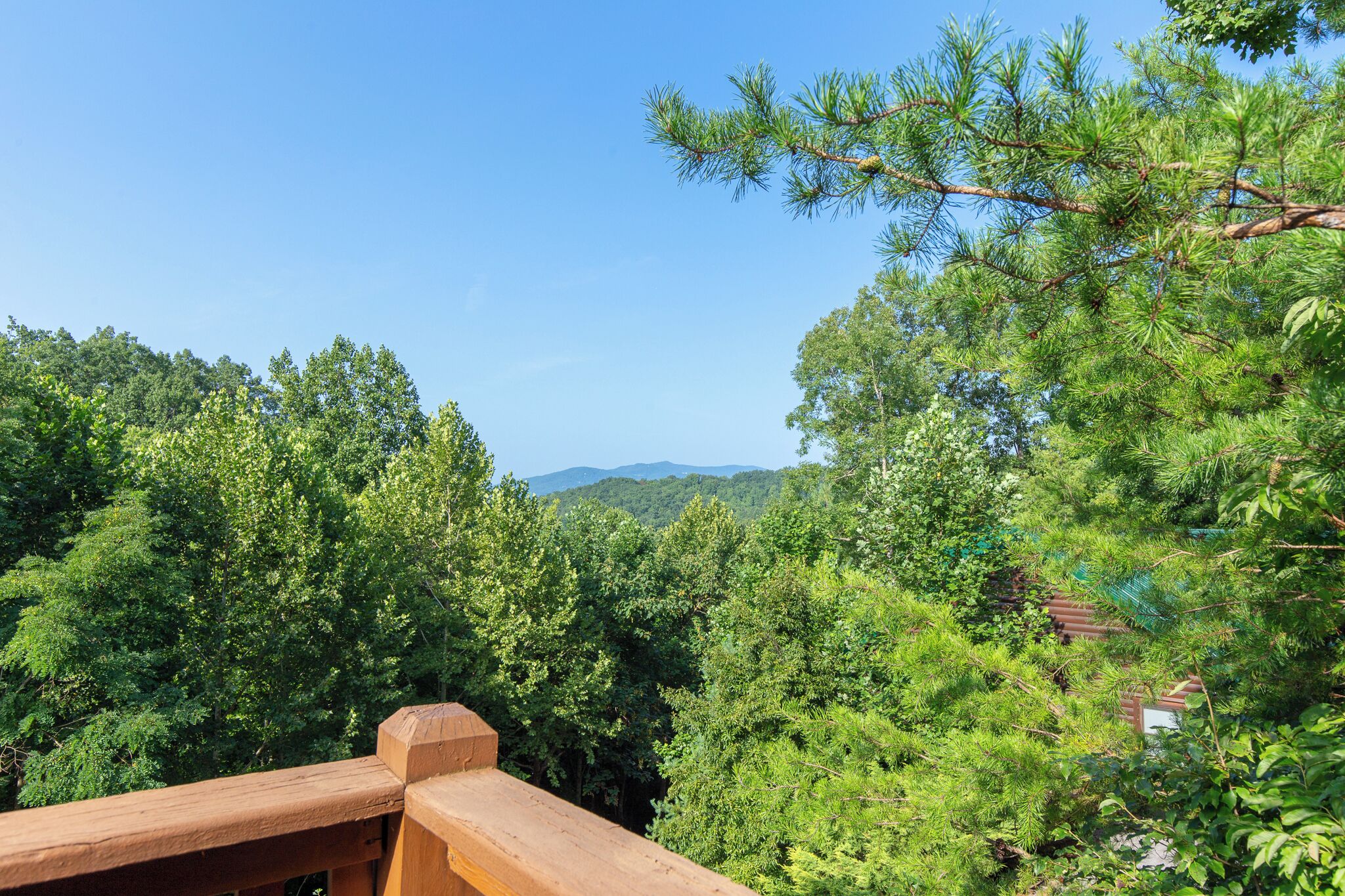 Studio (2 Bedrooms) | Property amenity