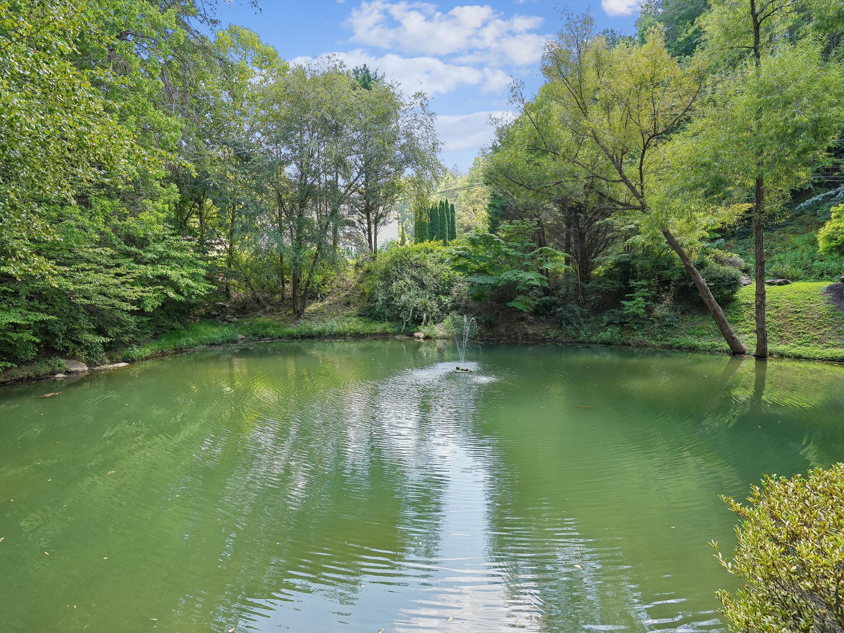A tranquil river with dense greenery on both sides.