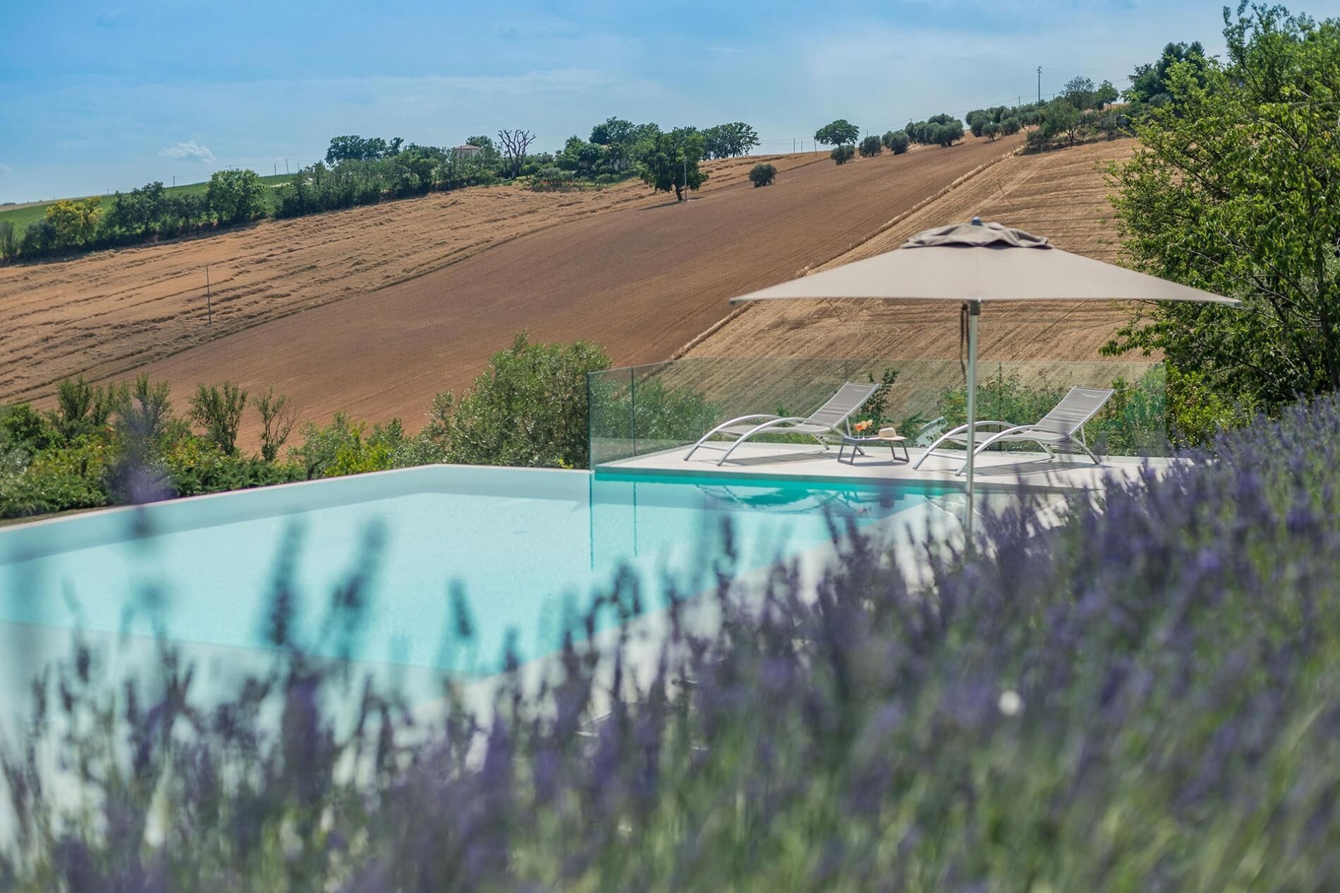 An infinity pool with lounge chairs and an umbrella, surrounded by lavender fields and a view of rolling hills.