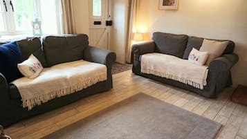 TV connectée, cheminée, lecteur de DVD