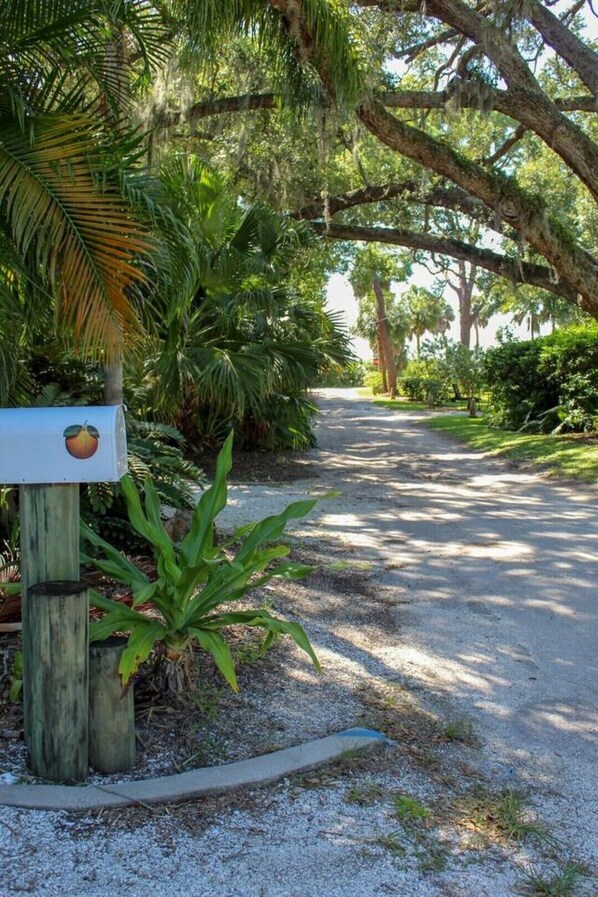 Terrain de l’hébergement 