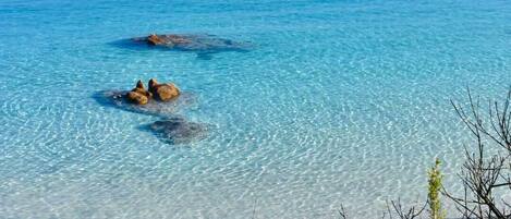 Beach nearby, sun loungers