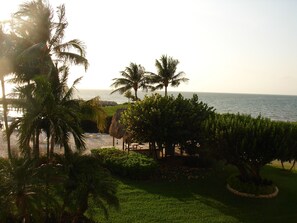 Beach nearby, sun loungers