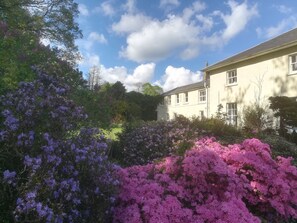 Traditionellt hus - eget badrum - utsikt mot trädgården | Exteriör
