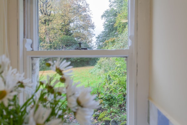 A window with a view of a garden and trees. - Carncairn (Ballymena)
