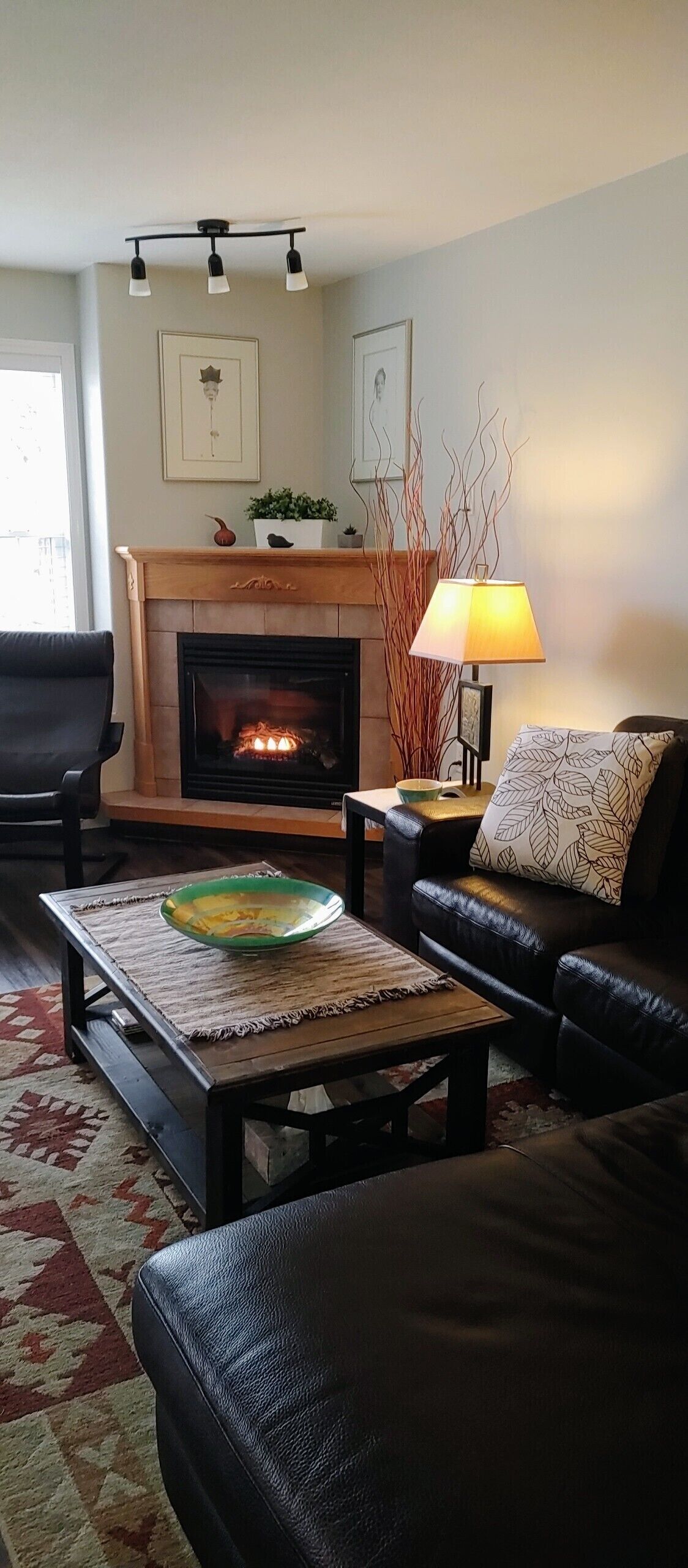 TV, fireplace, books