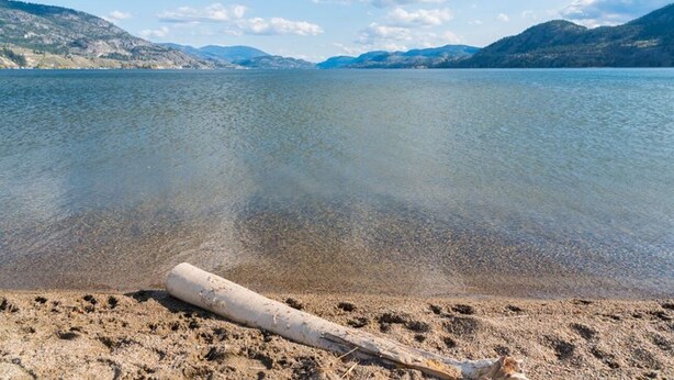 Un lac aux eaux limpides, bordé d’une plage de sable et d’une souche d’arbre flottant.