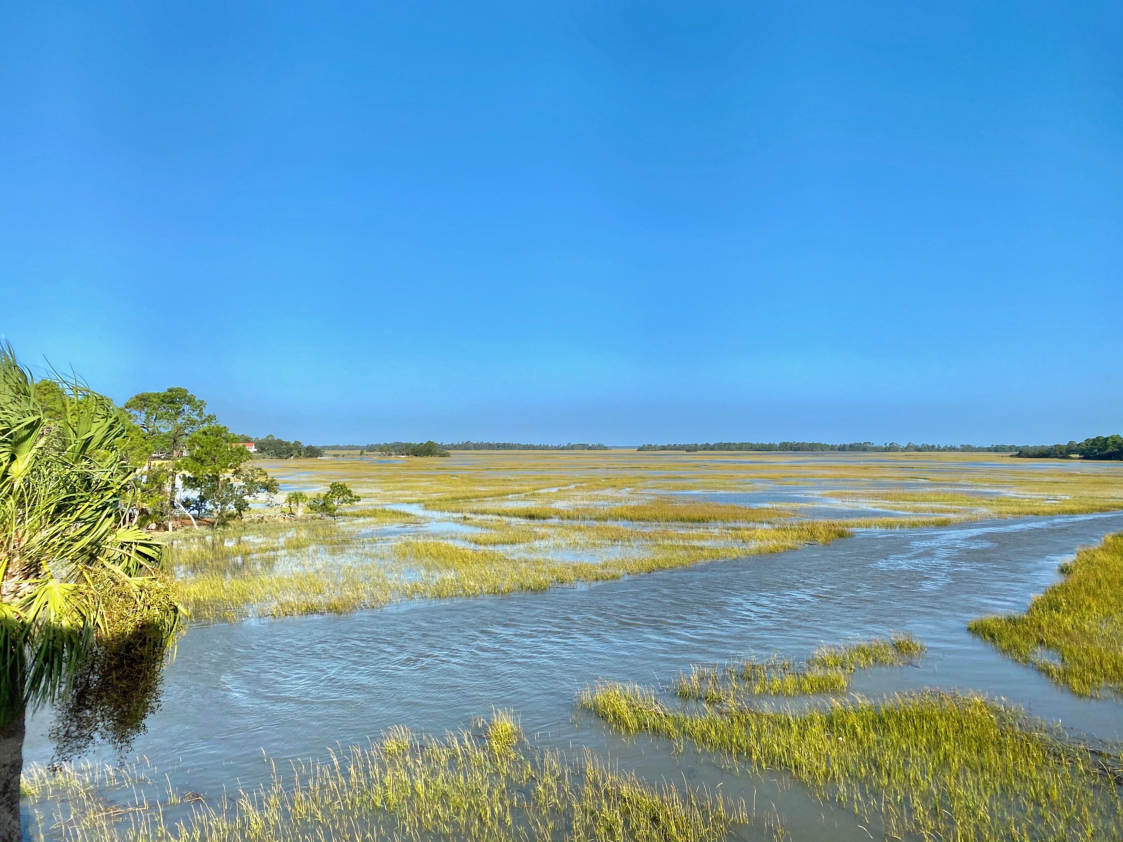 Fripp Condo- Gorgeous Marsh Views, Steps to Beach, Amenity Cards Available!